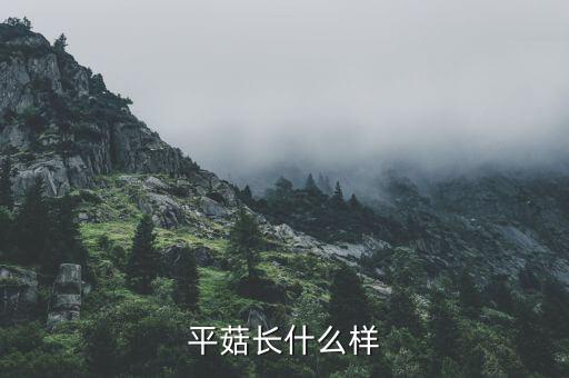 平菇长什么样