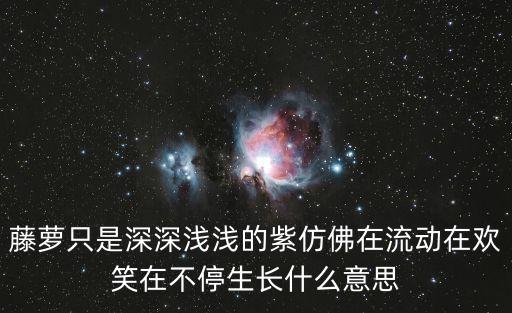 藤萝只是深深浅浅的紫仿佛在流动在欢笑在不停生长什么意思
