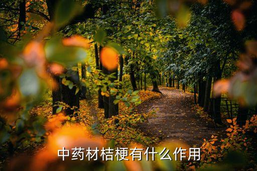 中药材桔梗有什么作用