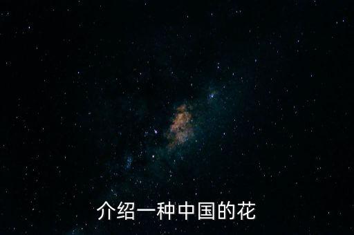 介绍一种中国的花
