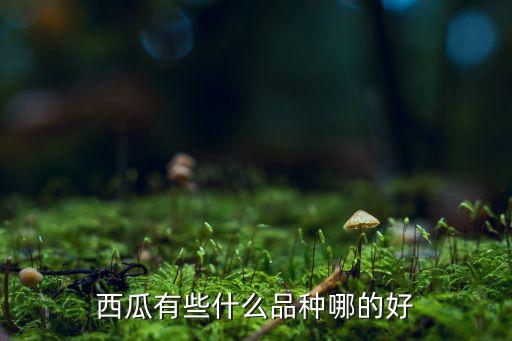 西瓜有些什么品种哪的好