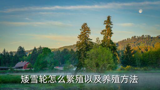 矮雪轮怎么繁殖以及养殖方法