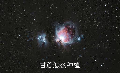 甘蔗种植，甘蔗怎么种植