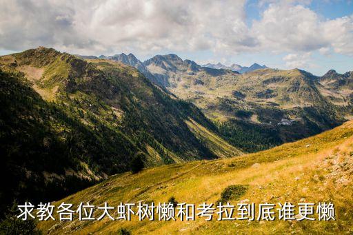 求教各位大虾树懒和考拉到底谁更懒