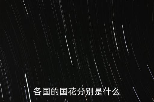 各国的国花分别是什么