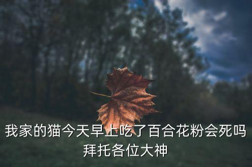 百合对猫有毒吗，我家的猫吃了百合花的叶子网路有好多可怕的消息说会肾衰竭或