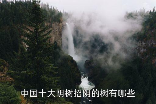 中国十大名树，盆栽十大名树有那些
