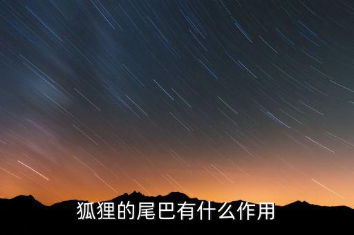 狐狸的尾巴有什么作用