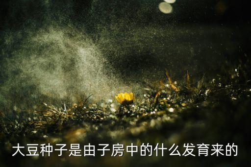 大豆种子是由子房中的什么发育来的