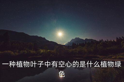 一种植物叶子中有空心的是什么植物绿色