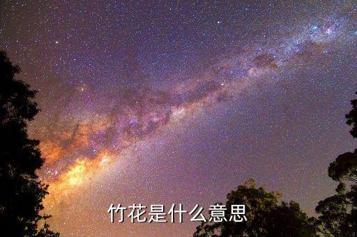 竹花是什么意思
