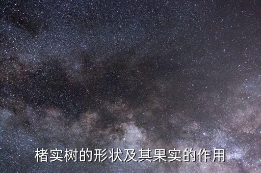 楮实树的形状及其果实的作用