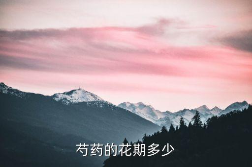 芍药的花期多少