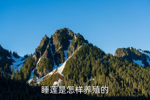 睡莲养殖，怎么养睡莲