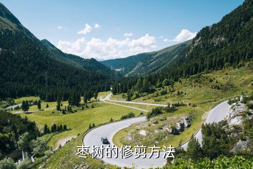 枣树怎样剪枝，枣树的修剪方法