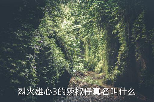 烈火雄心3的辣椒仔真名叫什么