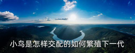 鸟类交配，鸟类是怎样交配的