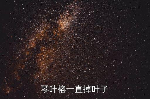 大琴叶榕，琴叶榕一直掉叶子