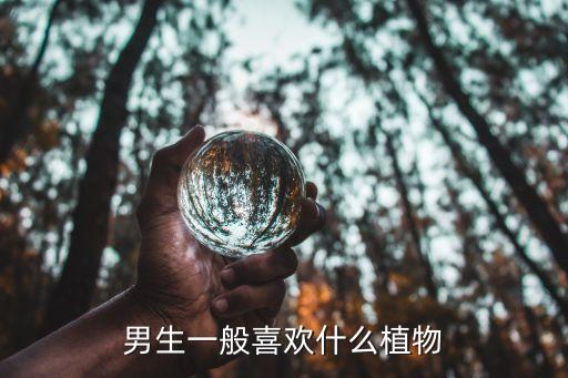男生喜欢什么花，男生喜欢什么花吗