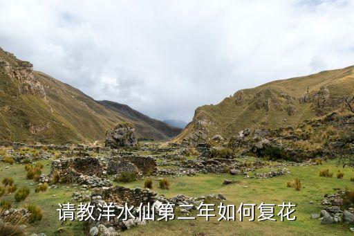 复花，选复花治什么病