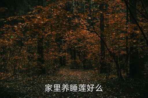 家里养睡莲好么