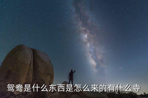 鸳鸯是什么东西是怎么来的有什么寺