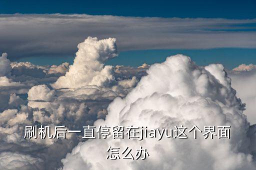 刷机后一直停留在jiayu这个界面怎么办