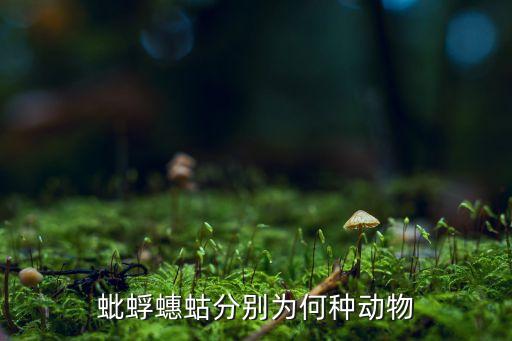 蚍蜉蟪蛄分别为何种动物