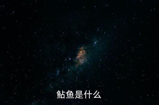 鲇鱼是什么