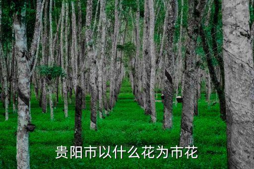 贵阳市花，贵阳市花是什么