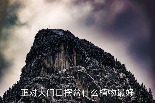 正对大门口摆盆什么植物最好