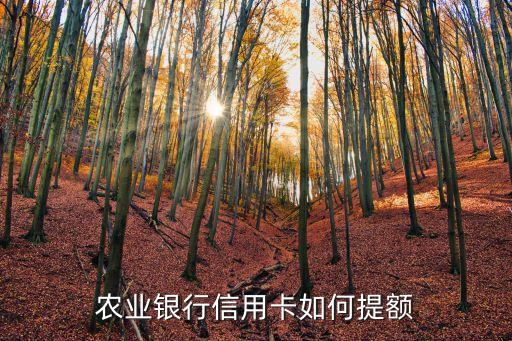 农业银行信用卡如何提额