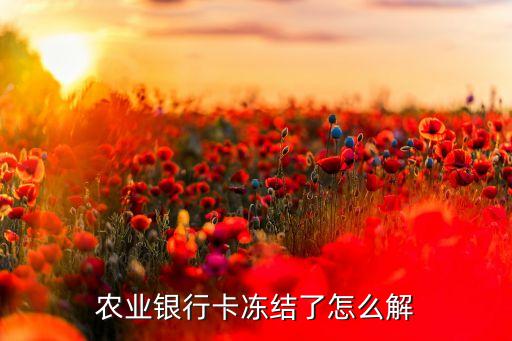 农业银行卡冻结了怎么解