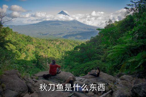 秋刀鱼是什么东西