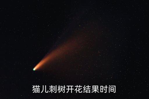 猫儿刺，猫公刺的功效与作用