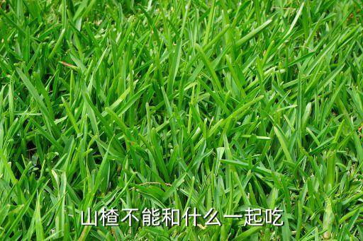 山楂不能和什么一起吃
