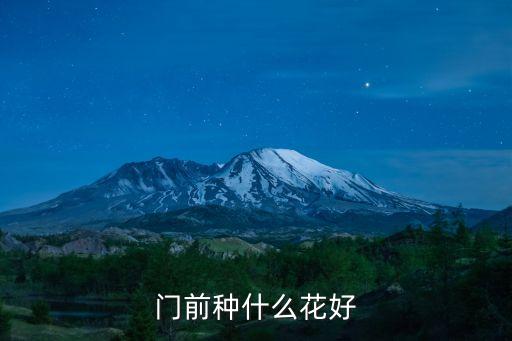 门口种什么花好，正对大门口摆盆什么植物最好