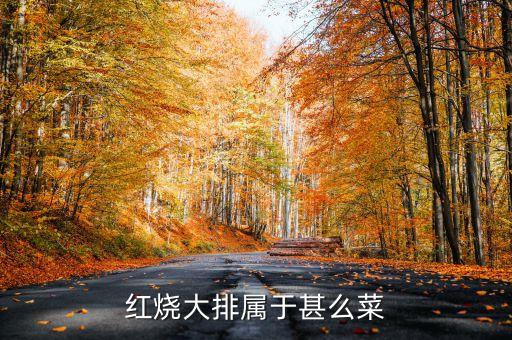 红烧大排属于甚么菜