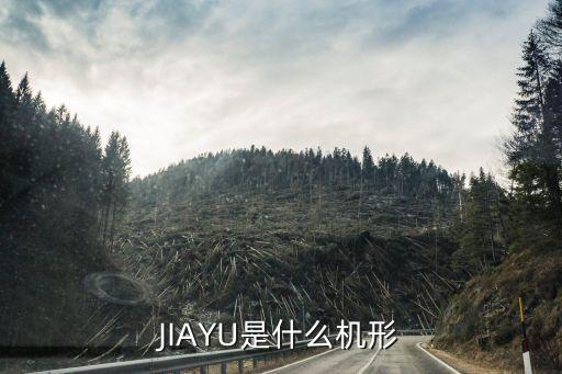 JIAYU是什么机形