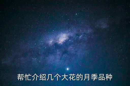 帮忙介绍几个大花的月季品种