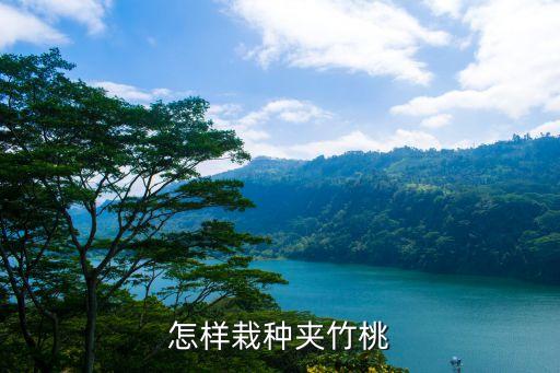 怎样栽种夹竹桃