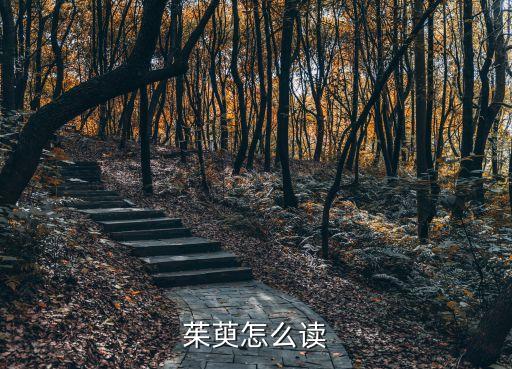 茱萸怎么读