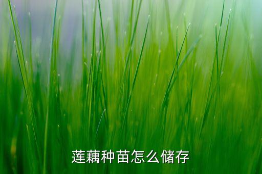 莲藕种苗怎么储存