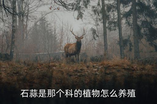 石蒜科，石蒜科花卉常见类型有哪些