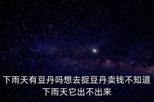 下雨天有豆丹吗想去捉豆丹卖钱不知道下雨天它出不出来