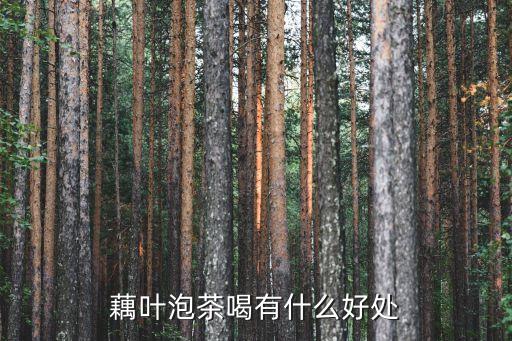 莲藕叶，莲藕的叶子是荷叶吗