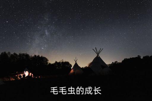 毛毛虫的成长