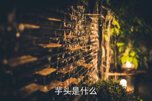 芋头是什么