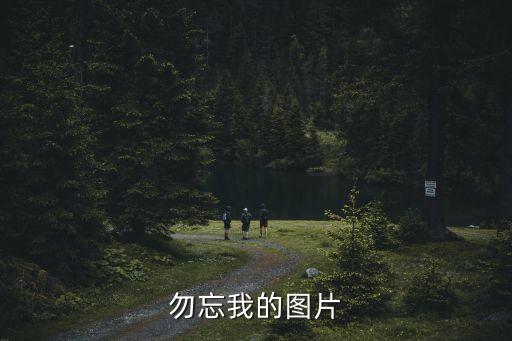 爬爬虾图片，勿忘我的图片