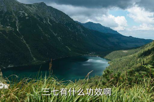 三七的作用与功效，三七有什么功效啊